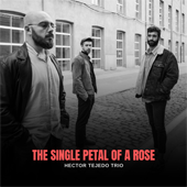 Pulsar para ms informacin sobre 'The single petal of a rose'